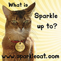 sparkle